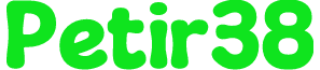 Petir38